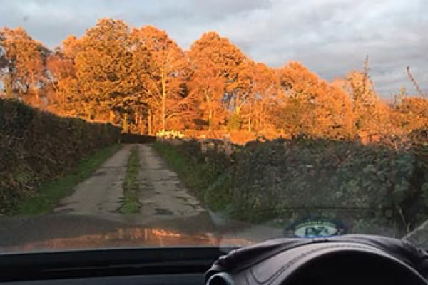 Autumn Drive